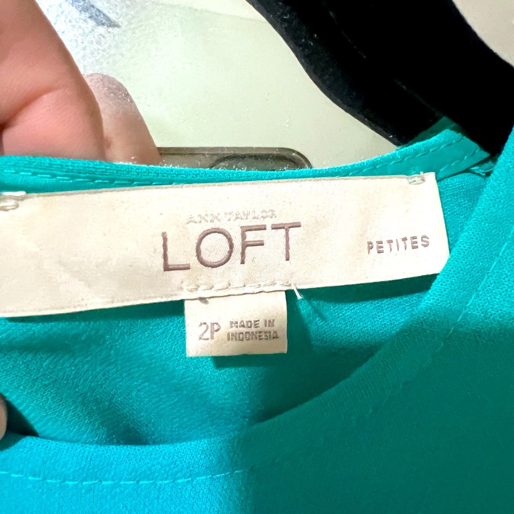 Ann Taylor petite 2